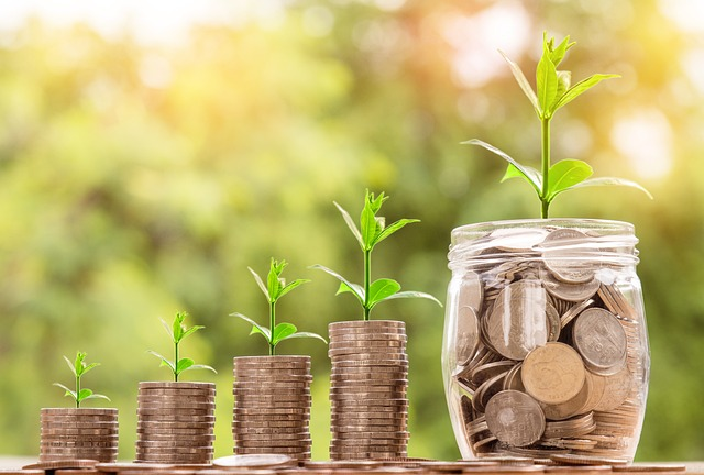 Advertising on Reddit: Is This a Good Strategy for Your Business? 6 money, coin, investment